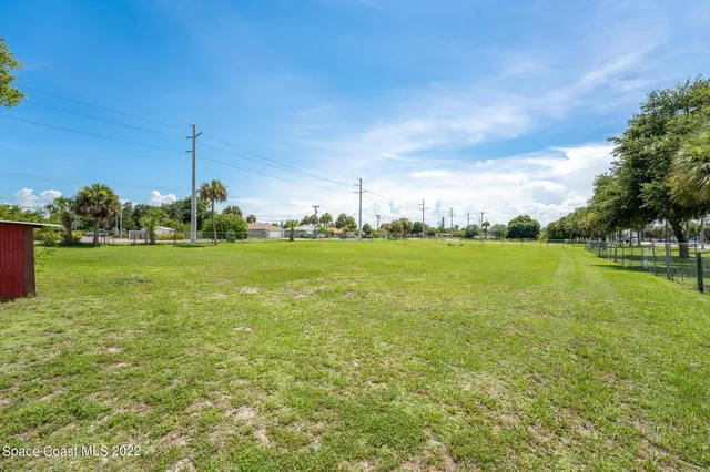 a view of a grassy field with an trees