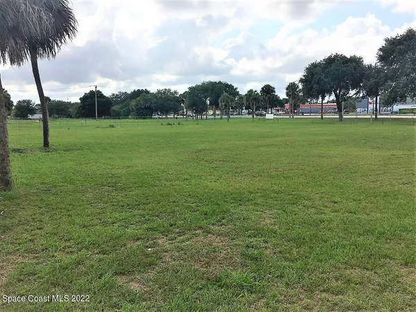 a view of a field with grass and a palm trees