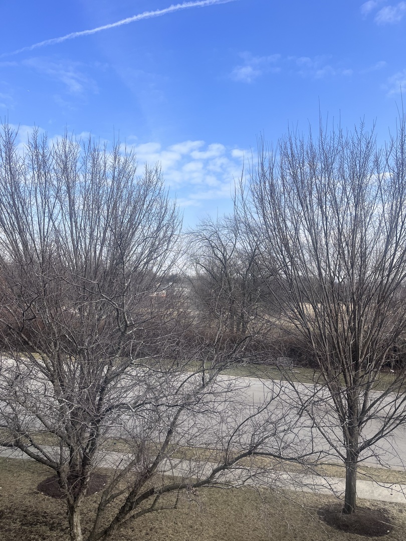 547 Goodwin Drive Bolingbrook, IL 60440 - Photo 34 of 36 a view of a yard with a tree