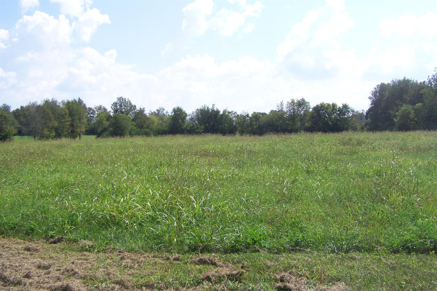 2495 Bryan Station Road Lexington, KY 40516 - Photo 21 of 35 Photo 21