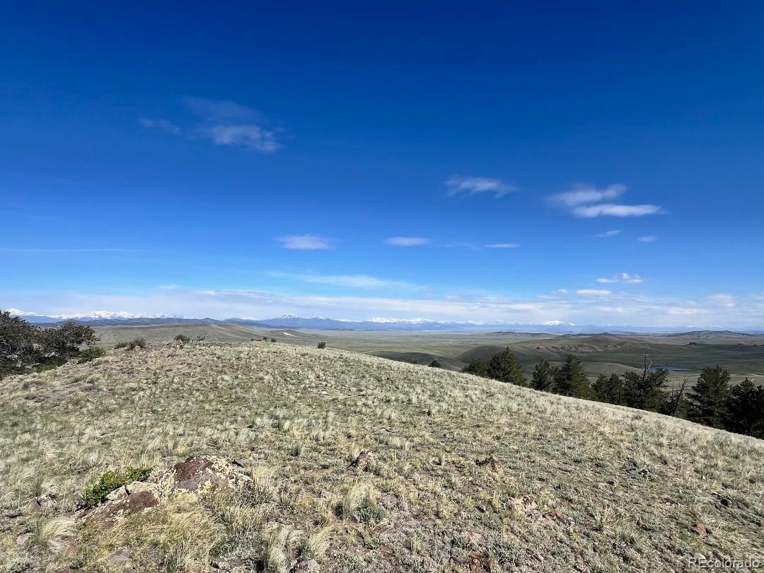 110 Watonga Road Hartsel, CO 80449 - Photo 12 of 31
