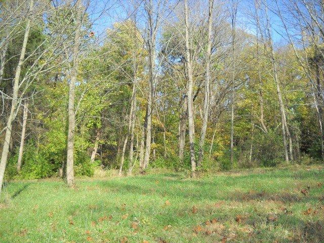 49 Hamilton Springs Road Lancaster, KY 40444 - Photo 11 of 23 Photo 11