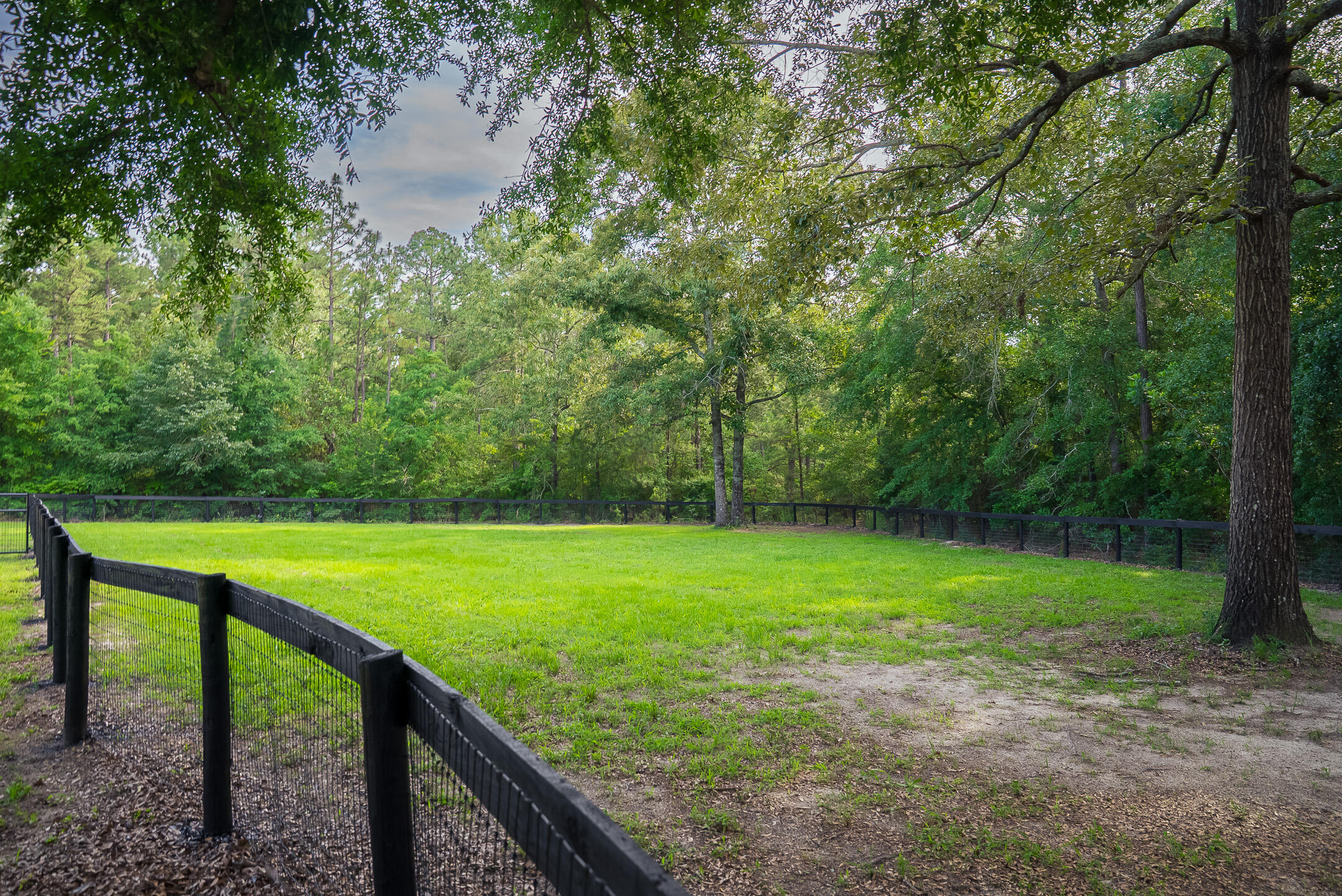 500 Burkelo Road Wagener, SC 29164 - Photo 25 of 80