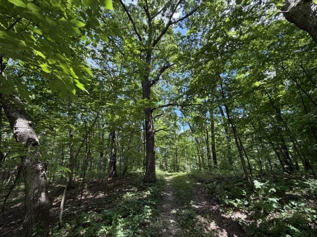 35537 Log House Lane Prairie du Chien, WI 53821 - Photo 35 of 36