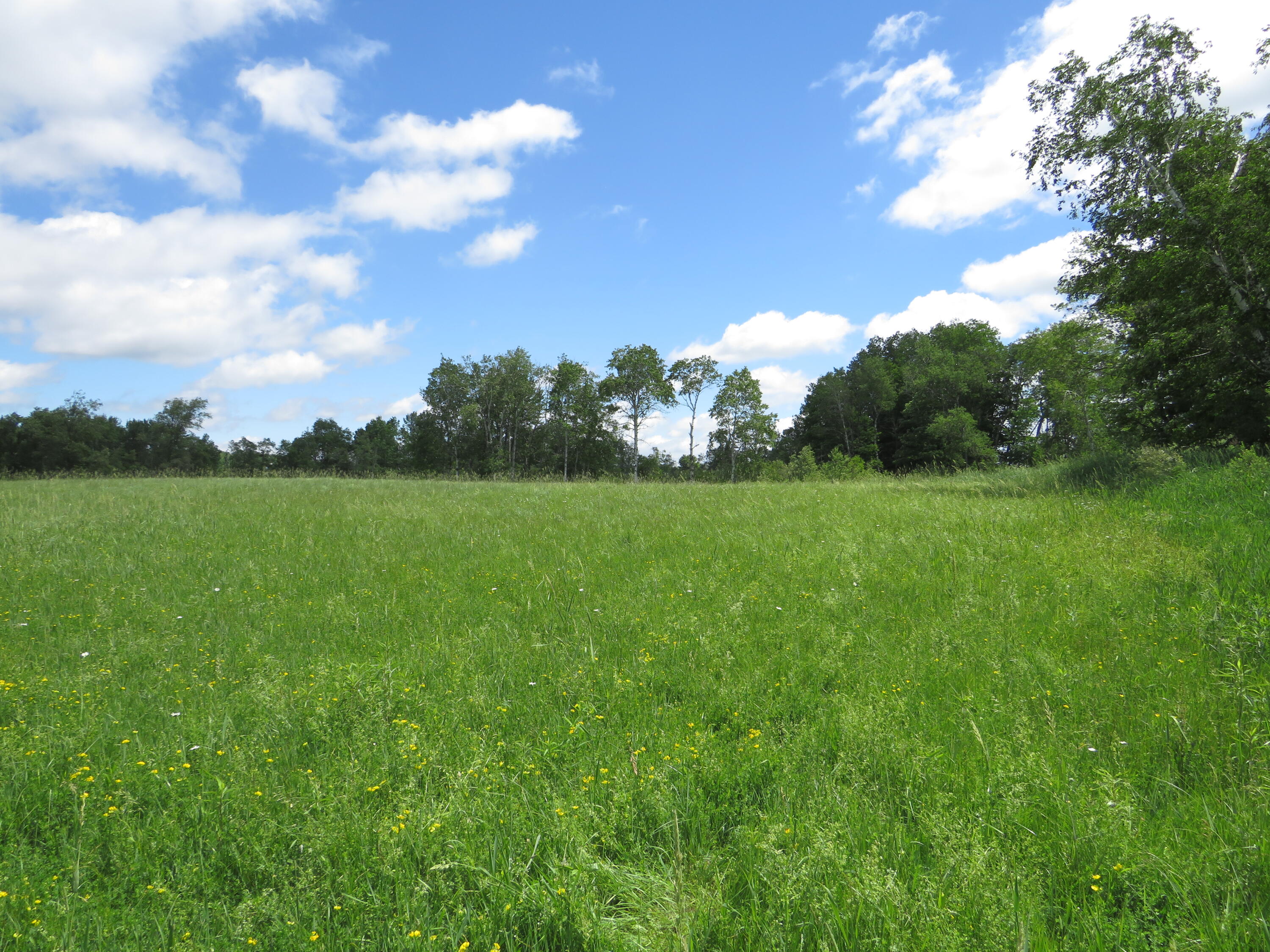 17 17 Mile Road Marion, MI 49665 - Photo 37 of 54 IMG_6797