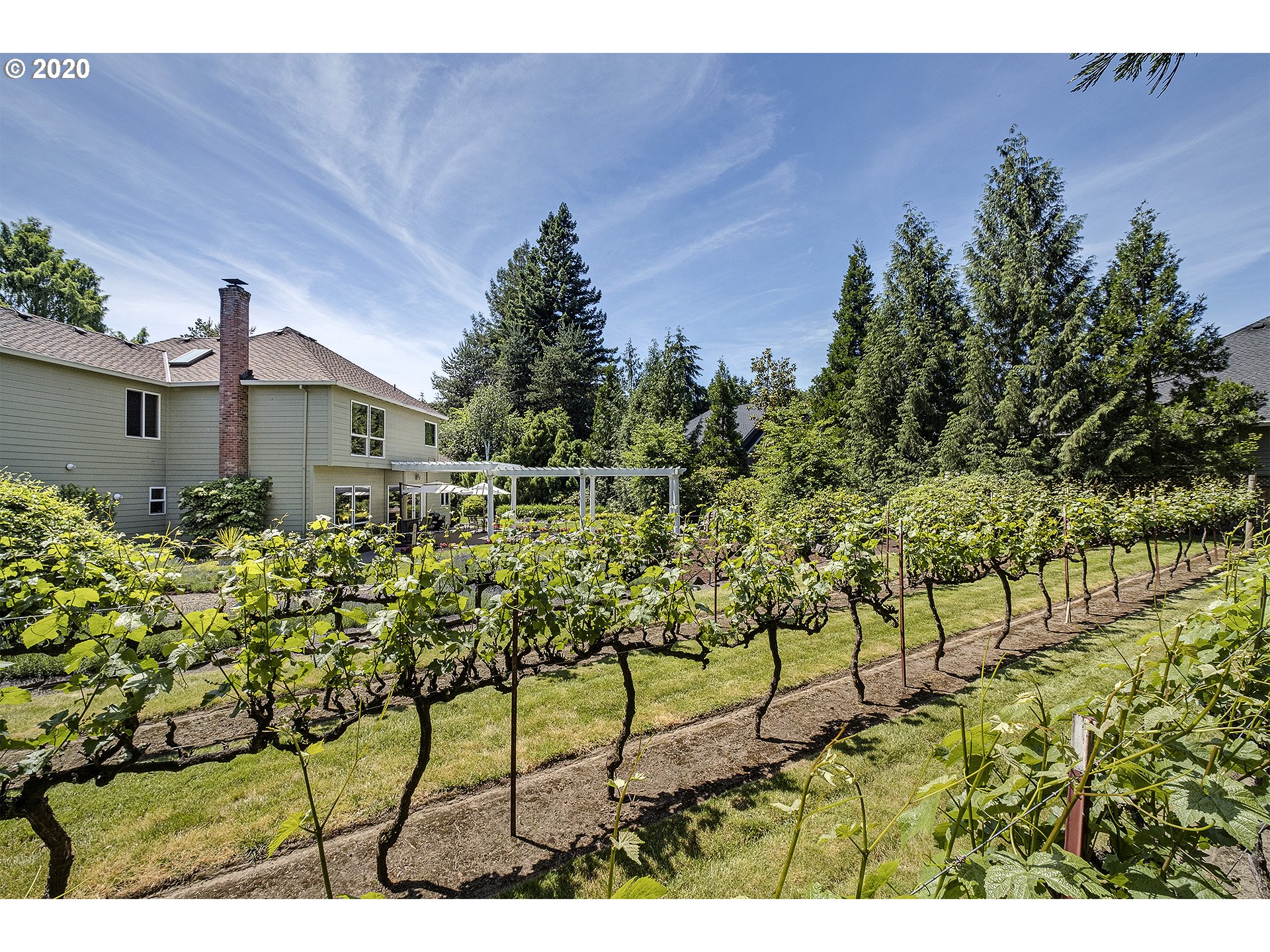 3337 Northeast Jackson Rd Loop Hillsboro, OR 97124 - Photo 25 of 32 Gallery Image 25