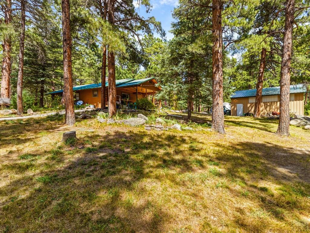 8270 Park Road Rye, CO 81069 - Photo 8 of 49