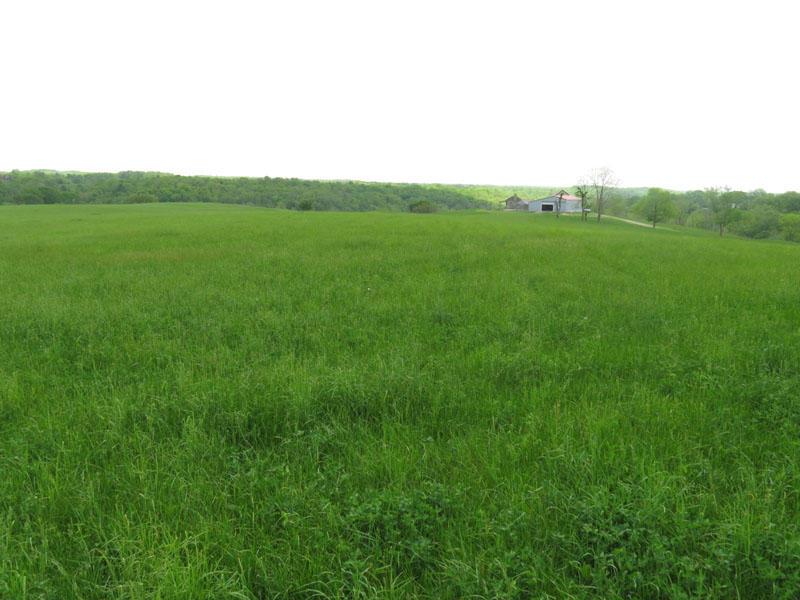 8143 Chicken Hollow Road Ripley, OH 45167 - Photo 23 of 31