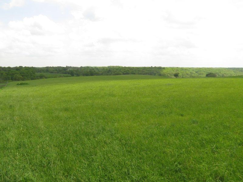 8143 Chicken Hollow Road Ripley, OH 45167 - Photo 24 of 31