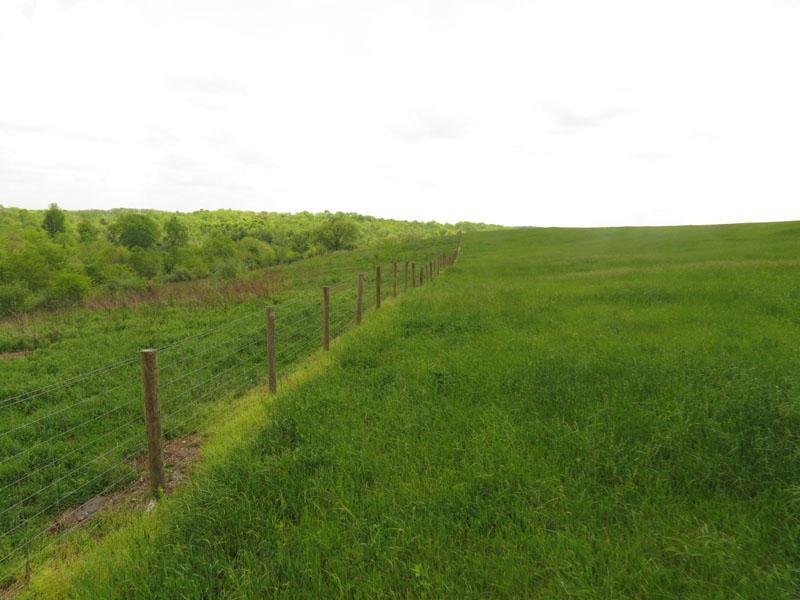 8143 Chicken Hollow Road Ripley, OH 45167 - Photo 26 of 31