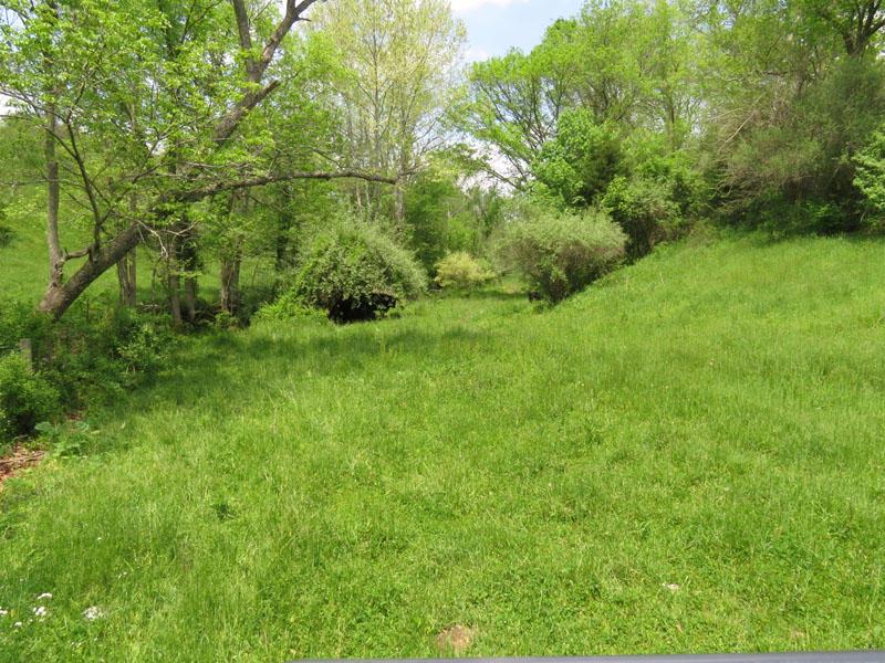 8143 Chicken Hollow Road Ripley, OH 45167 - Photo 27 of 31