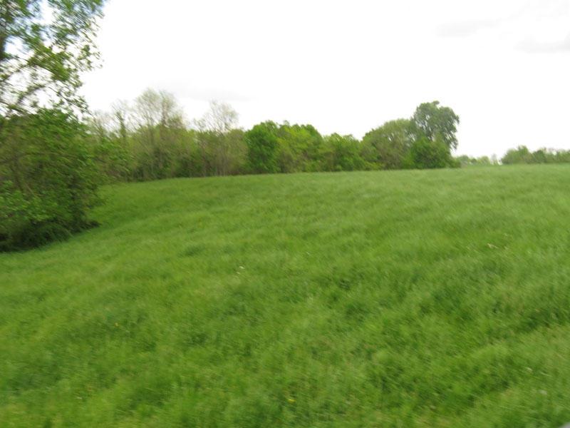 8143 Chicken Hollow Road Ripley, OH 45167 - Photo 29 of 31
