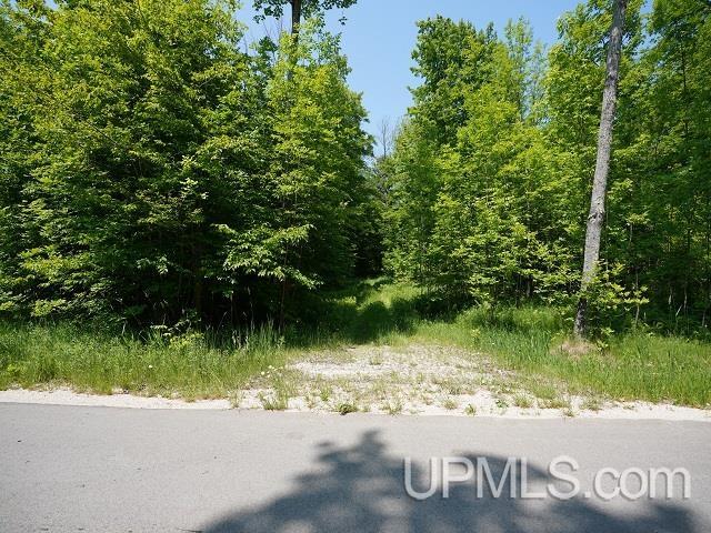 19110 West Diller Road Germfask, MI 49836 - Photo 25 of 28