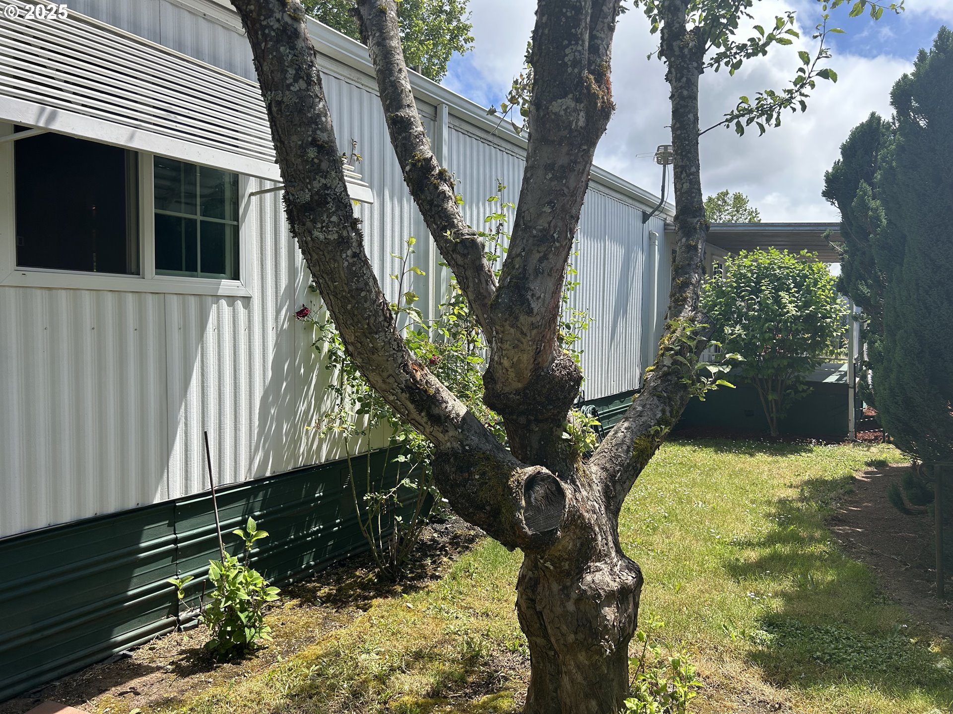 4800 Barger Drive, Unit 25 Eugene, OR 97402 - Photo 7 of 27