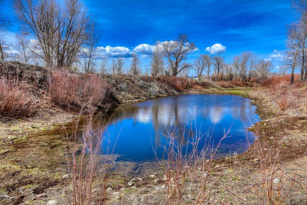 14285 County Rd E 5 Antonito, CO 81120 - Photo 68 of 72 a view of a yard with large trees