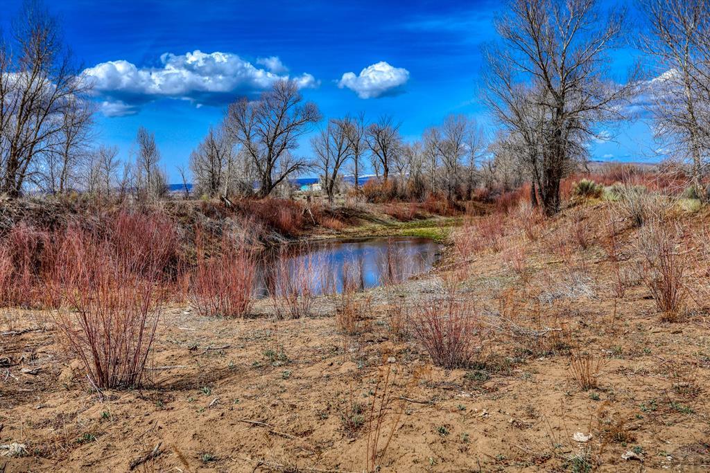 14285 County Rd E 5 Antonito, CO 81120 - Photo 69 of 72 a view of a yard with large trees