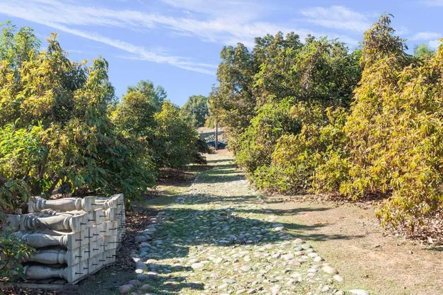 $1,650,000 | 15141 Post Oak Lane, El Cajon, CA 92021