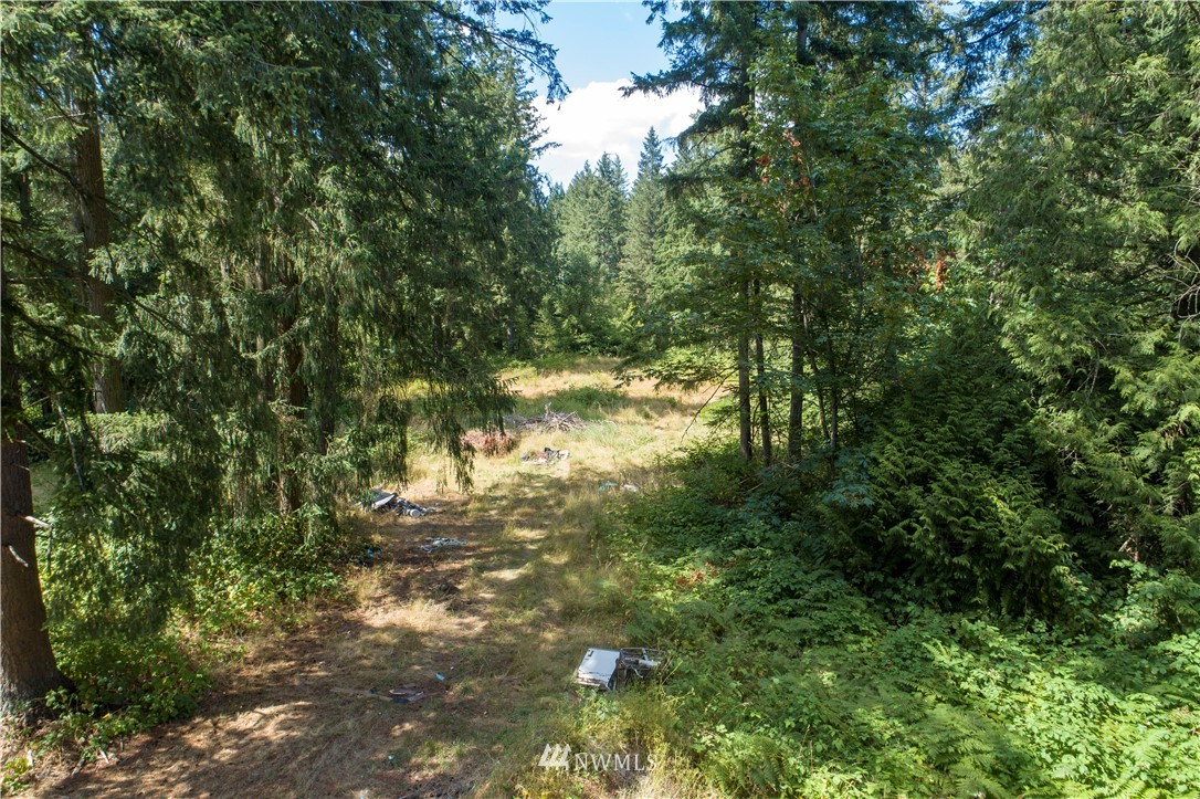 17908- Southeast Covington Sawyer Road Kent, WA 98042 - Photo 11 of 12 Gallery Image 11