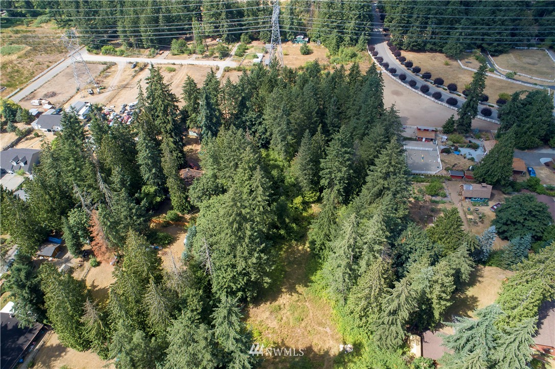 17908- Southeast Covington Sawyer Road Kent, WA 98042 - Photo 6 of 12 Gallery Image 6