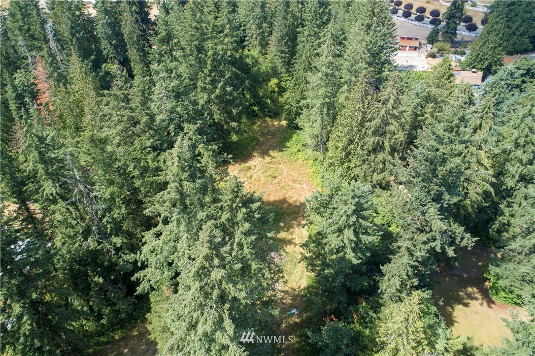 17908- Southeast Covington Sawyer Road Kent, WA 98042 - Photo 9 of 12 Gallery Image 9