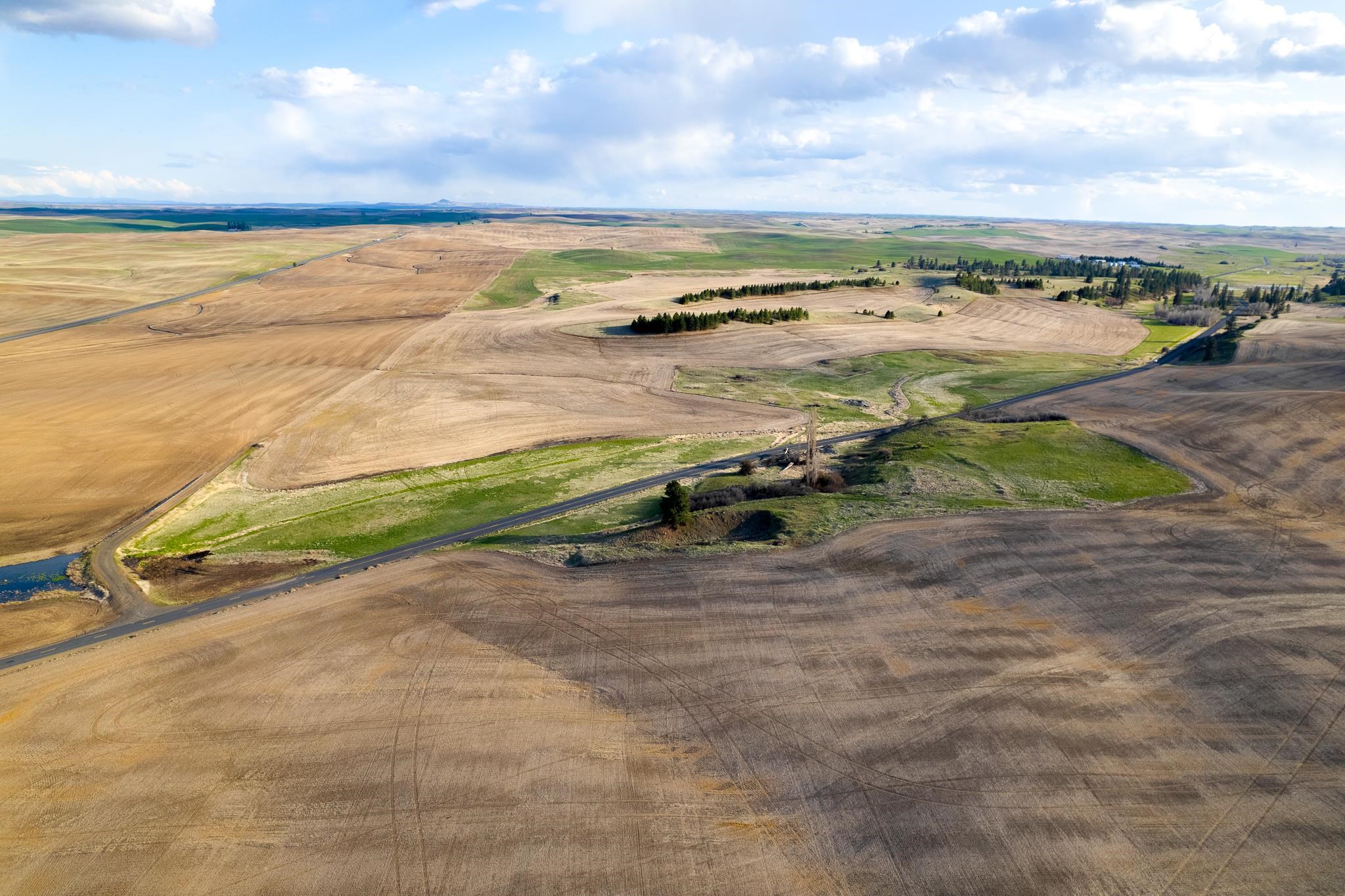 Lot 2 East Cheney-Spangle Road, Unit PARCEL 32085 9041 Spangle, WA 99031 - Photo 12 of 28