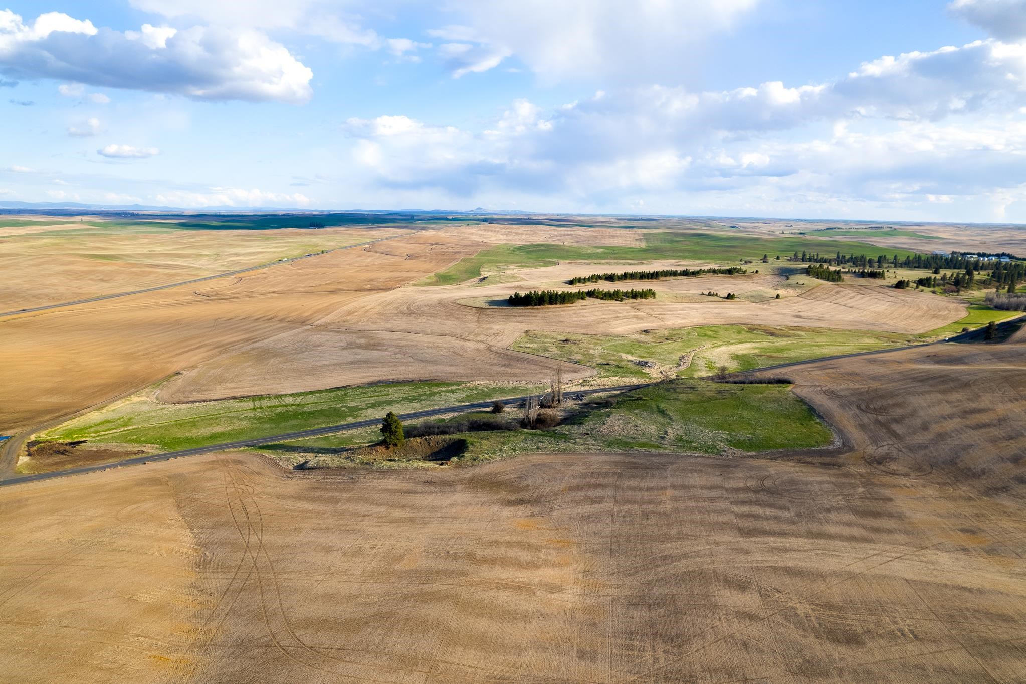 Lot 2 East Cheney-Spangle Road, Unit PARCEL 32085 9041 Spangle, WA 99031 - Photo 13 of 28