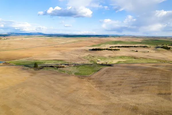 $183,350 | Lot 2 East Cheney-Spangle Road, Unit PARCEL 32085 9041, Spangle, WA 99031