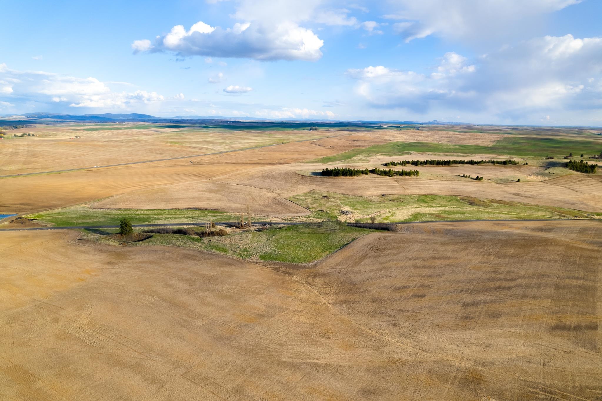 Lot 2 East Cheney-Spangle Road, Unit PARCEL 32085 9041 Spangle, WA 99031 - Photo 14 of 28