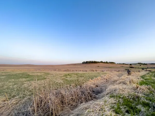 $183,350 | Lot 2 East Cheney-Spangle Road, Unit PARCEL 32085 9041, Spangle, WA 99031