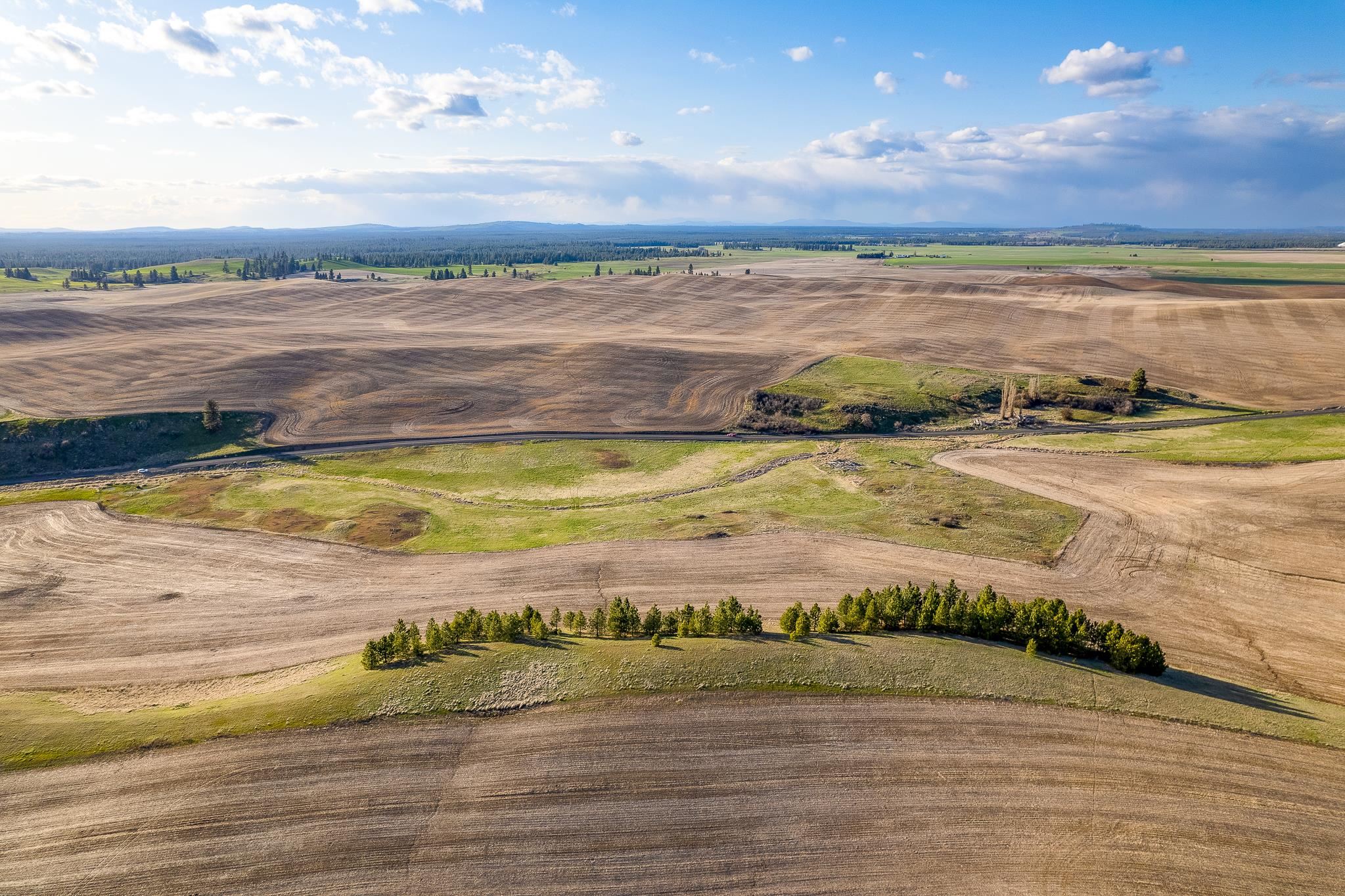 Lot 2 East Cheney-Spangle Road, Unit PARCEL 32085 9041 Spangle, WA 99031 - Photo 5 of 28