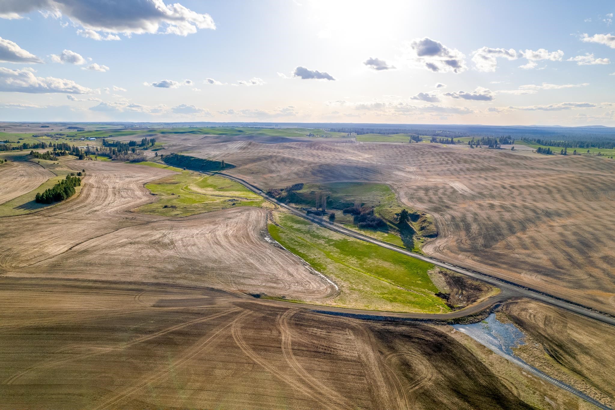 Lot 2 East Cheney-Spangle Road, Unit PARCEL 32085 9041 Spangle, WA 99031 - Photo 9 of 28