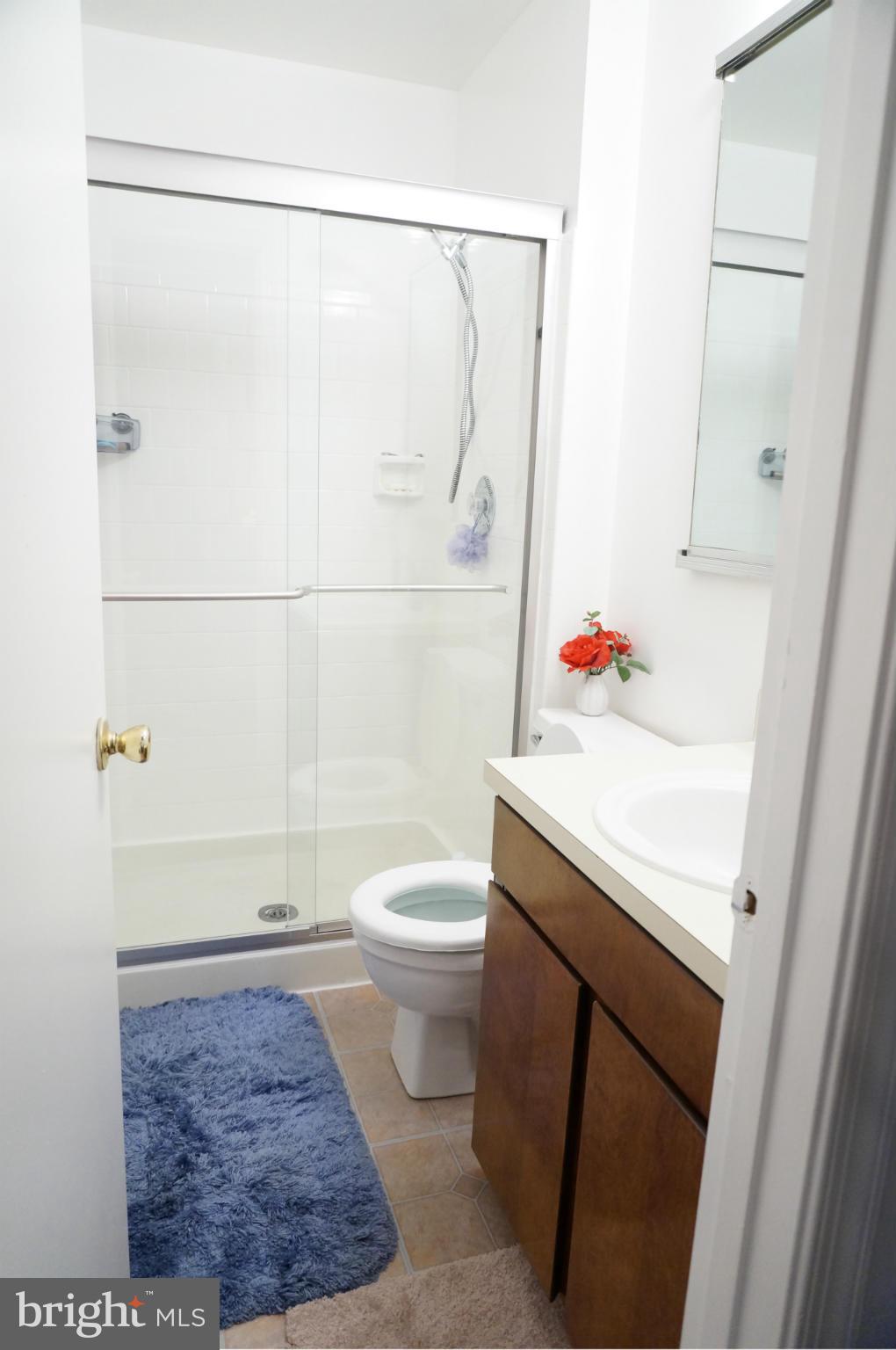 4062 Spring Run Court, Unit 11A Chantilly, VA 20151 - Photo 21 of 30 Bath (Master)