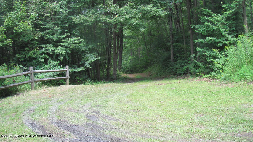 261 Carr Street Nicholson, PA 18446 - Photo 2 of 27 Gallery Image 2