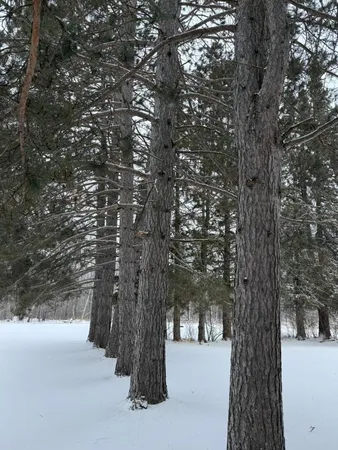 $215,000 | 11285 Arkola Road, Meadowlands, MN 55765