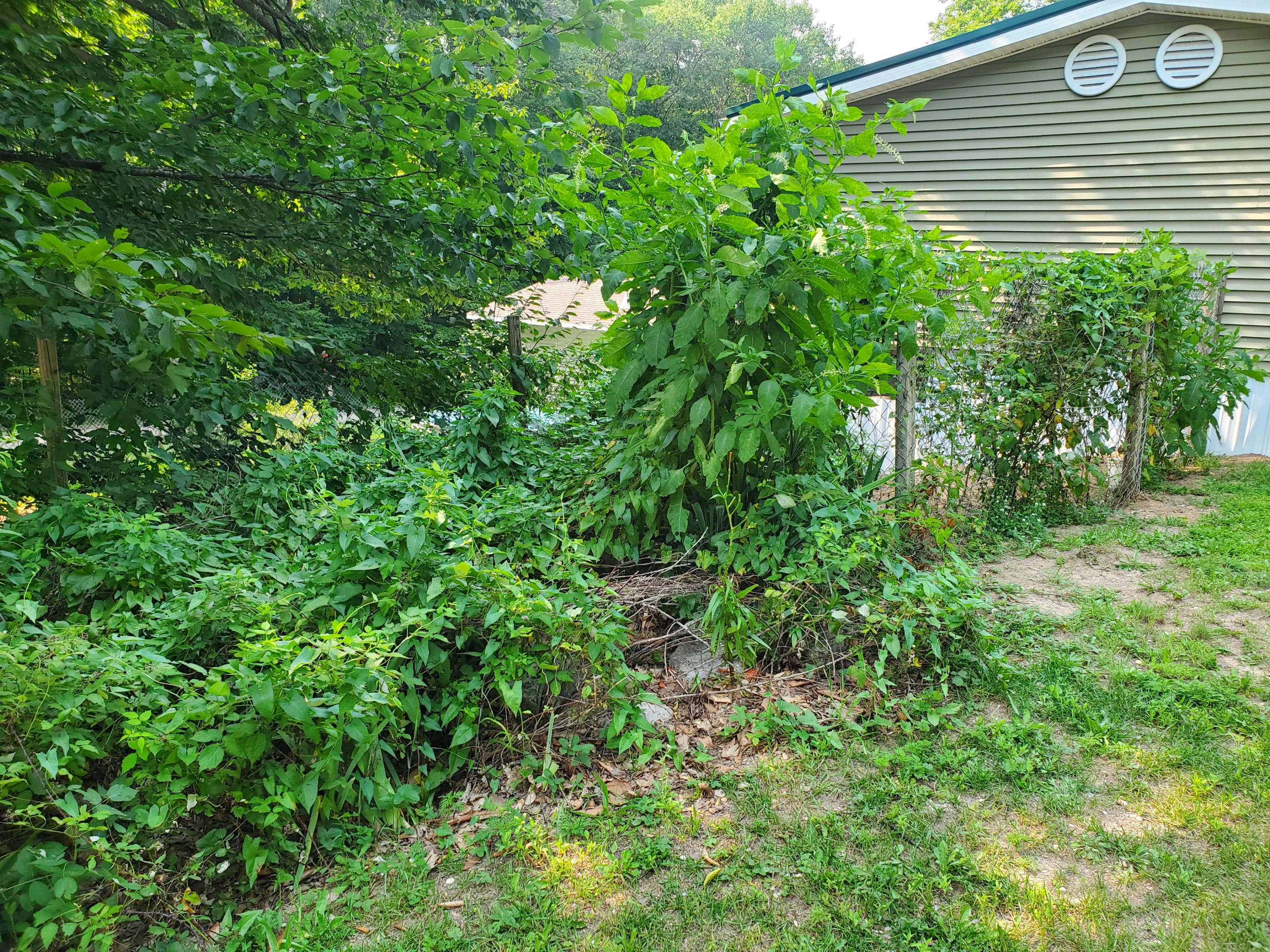 6890 West 20 Road Mesick, MI 49668 - Photo 49 of 54 20210726_170139