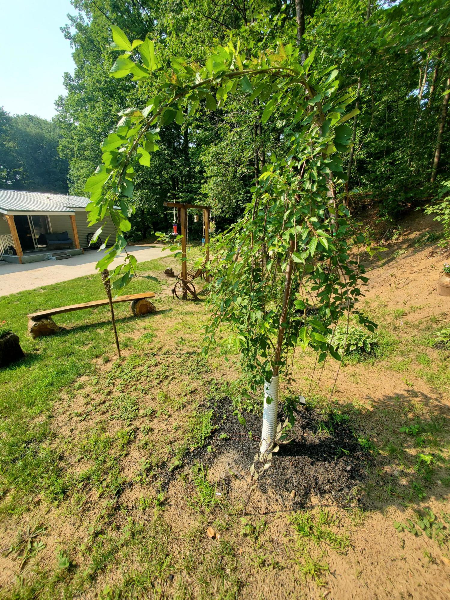 6890 West 20 Road Mesick, MI 49668 - Photo 52 of 54 20210726_170239