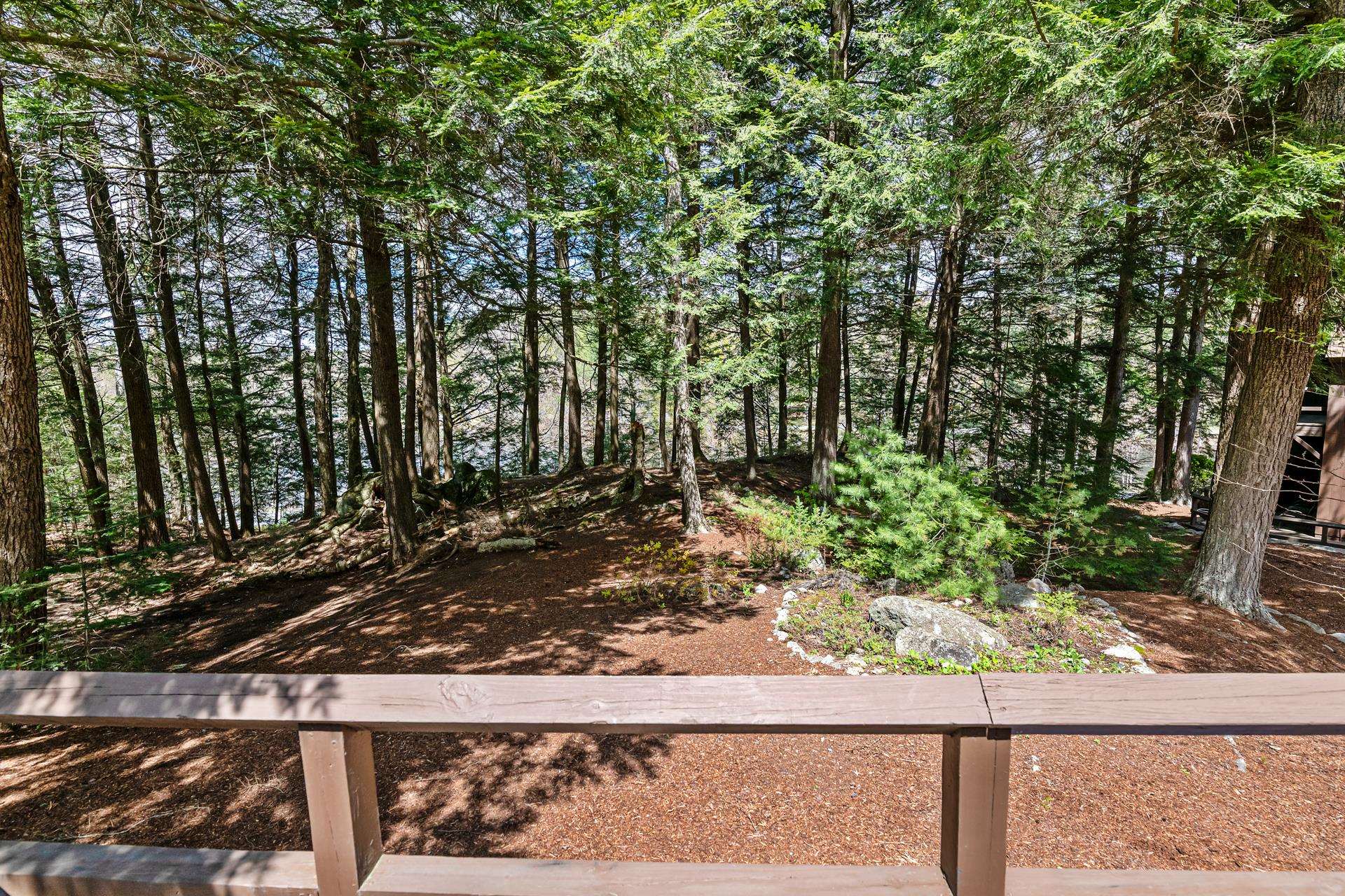14 Bay Tree Lane Grantham, NH 03753 - Photo 20 of 41
