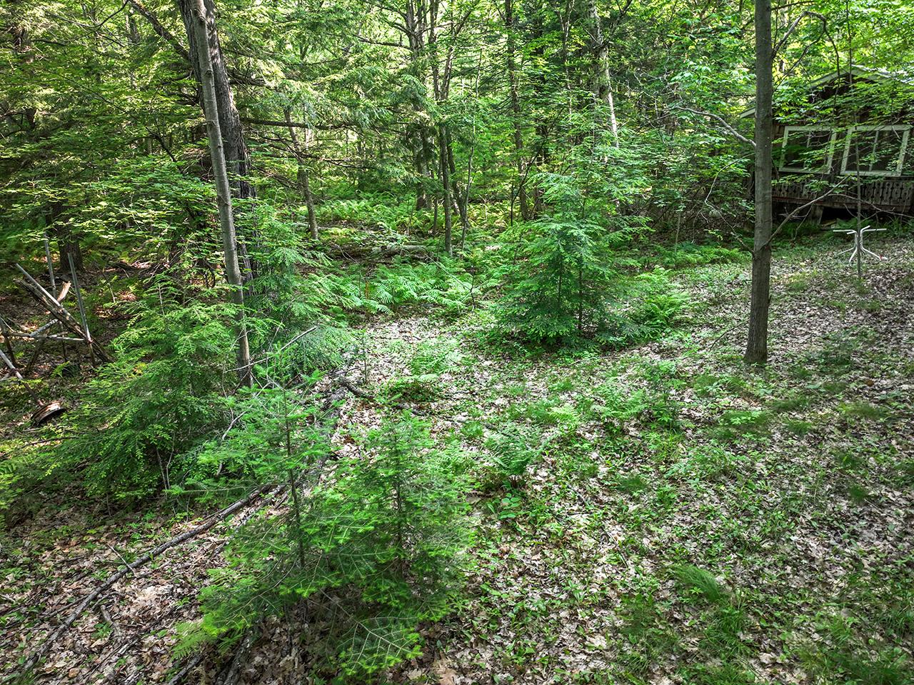 N8641 Marquardt Road Gleason, WI 54435 - Photo 9 of 21 Gallery Image 9