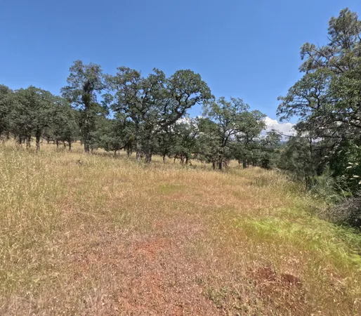 $150,000 | 0 Hazen Road, Manton, CA 96059