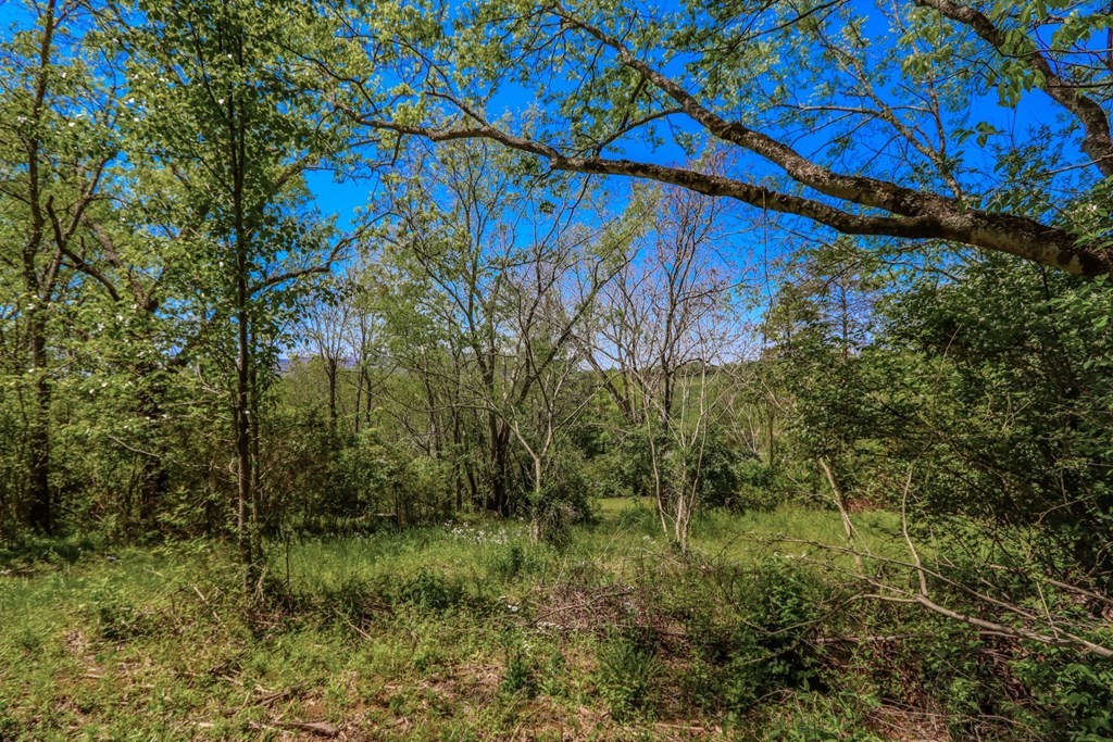 614 Morrell Springs Road Newport, TN 37821 - Photo 28 of 35 Gallery Image 28