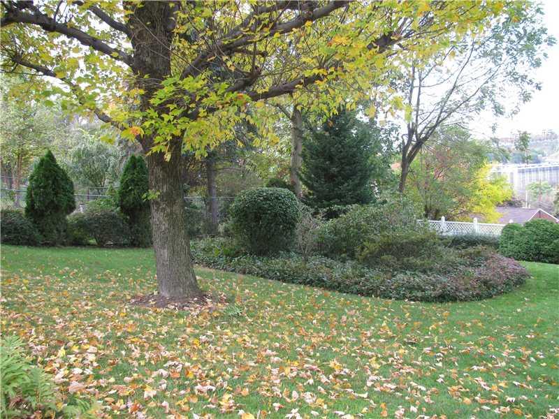 116 Rhodes Avenue Green Tree, PA 15220 - Photo 22 of 25 Yard/Garden.
