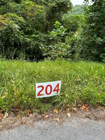 $34,900 | 204 Ox Bow Avenue, Unit 204, Unicoi, TN 37692