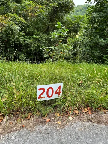 $34,900 | 204 Ox Bow Avenue, Unit 204, Unicoi, TN 37692