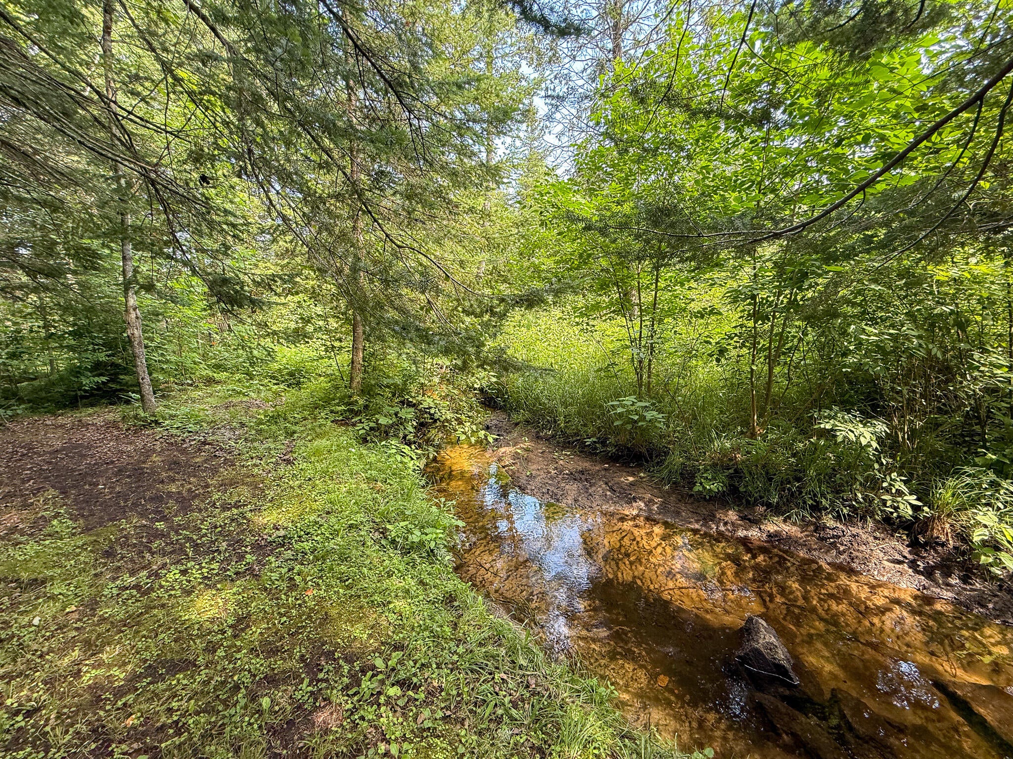 9230 Monroe Road Lake, MI 48632 - Photo 23 of 29 Gallery Image 23