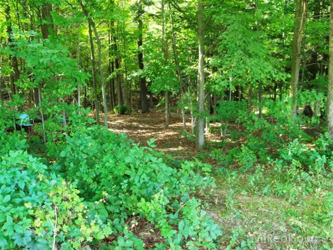 1865 North Goetze Road Carsonville, MI 48419 - Photo 23 of 27 31164796-22.JPG