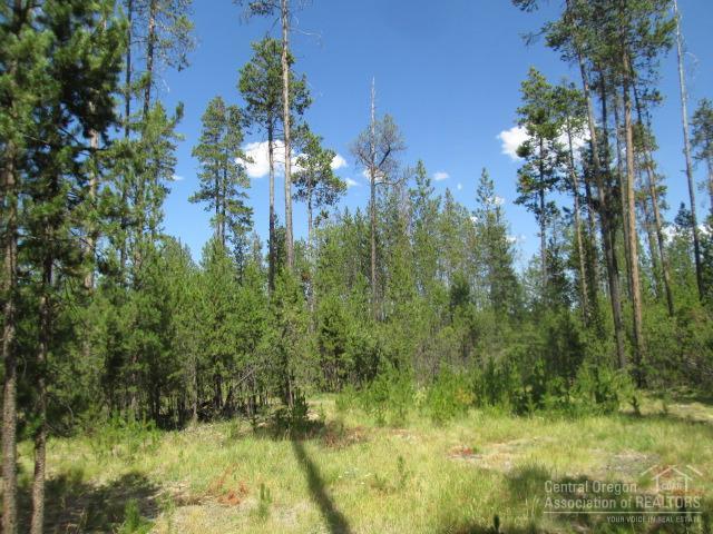 55980 Browning Drive Bend, OR 97707 - Photo 16 of 25 Additional Photo