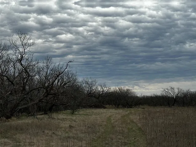 a view of an ocean beach