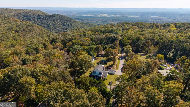 a front view of a house with yard and green space