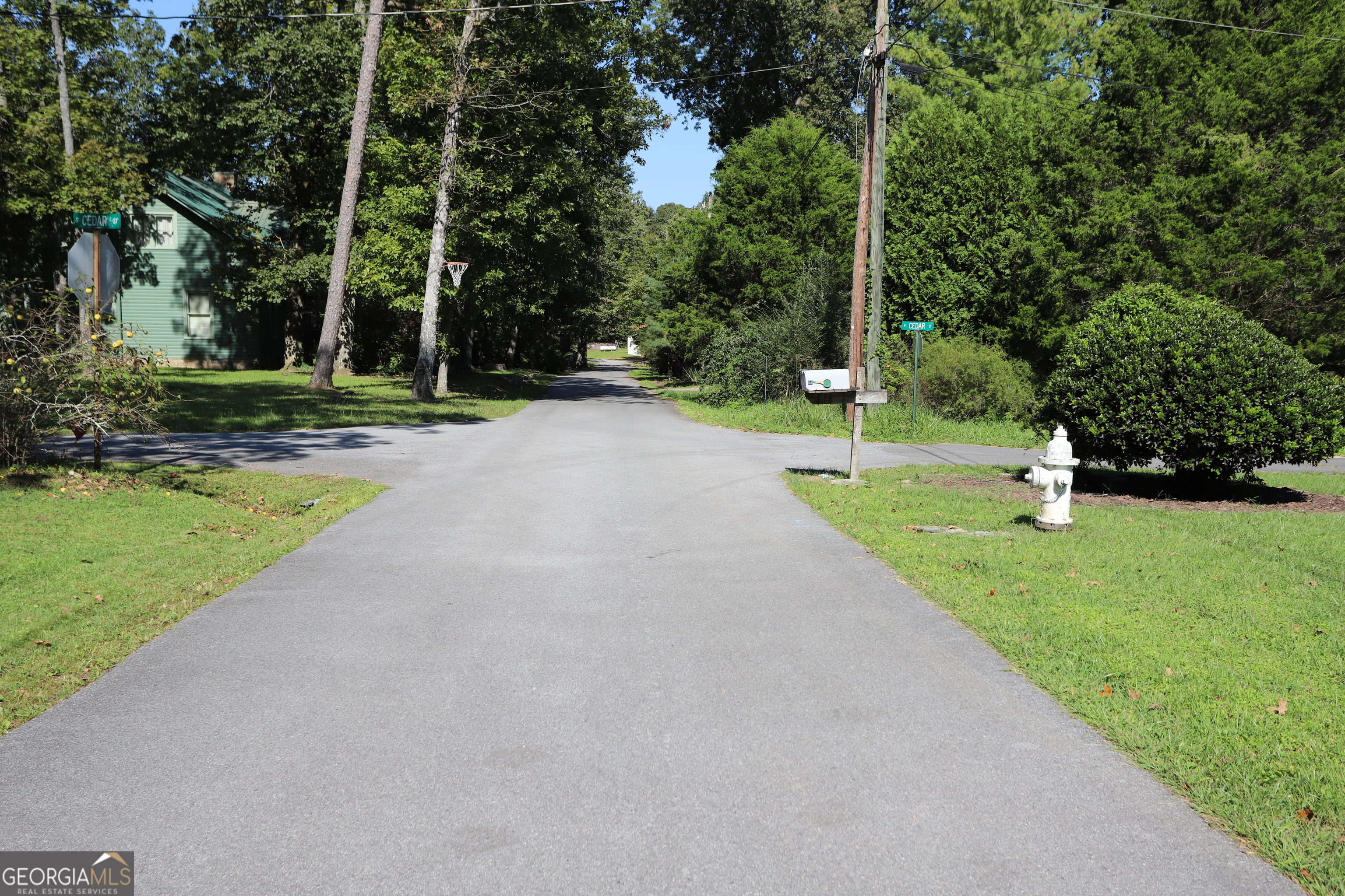 51 Cedar Street Menlo, GA 30731 - Photo 86 of 86 a view of a park with large trees