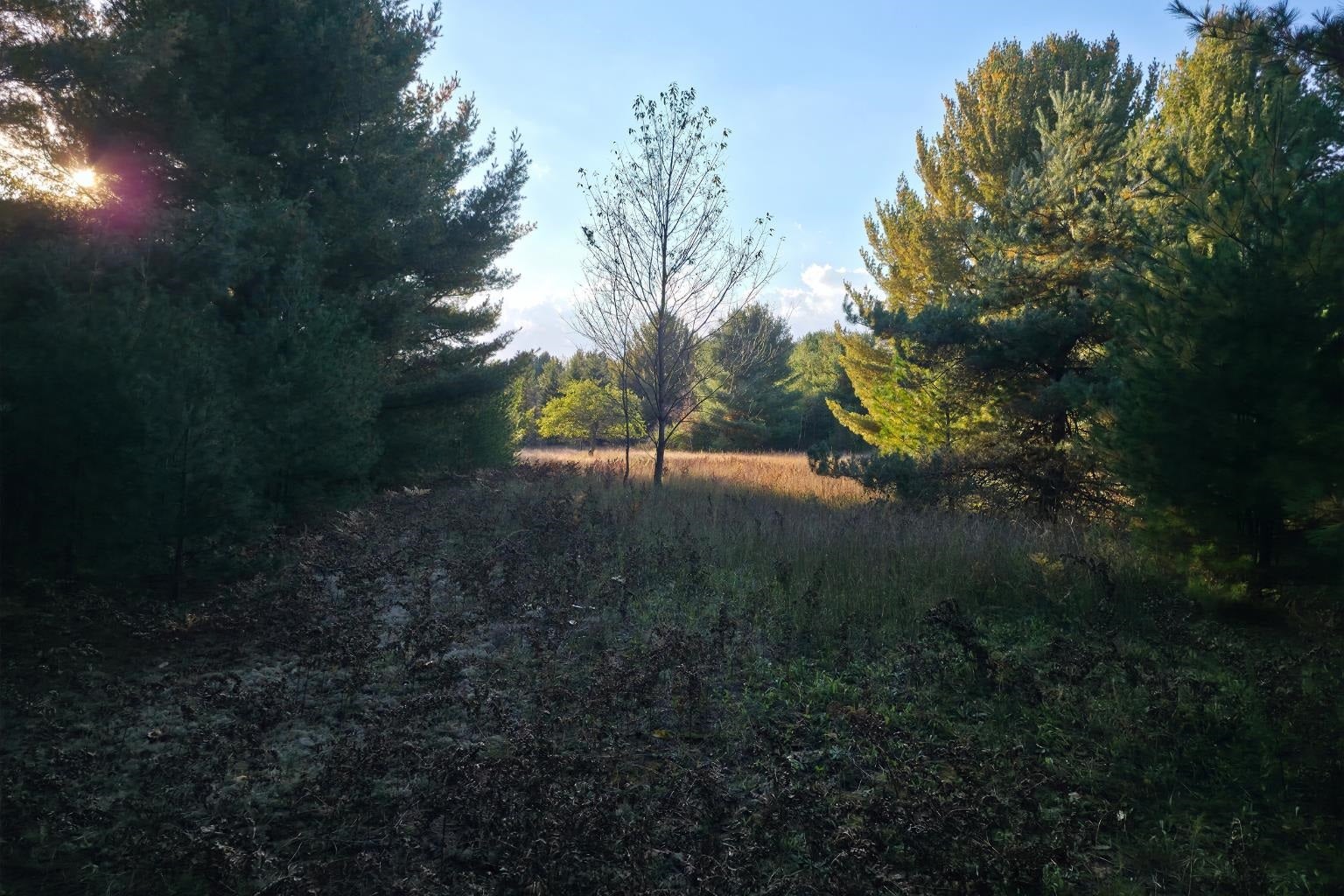 8-vl Betsie River Road Interlochen, MI 49643 - Photo 4 of 14 Gallery Image 4